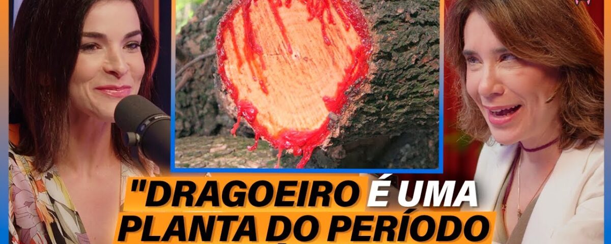 Ácido Hialurônico & Sangue de Dragão - Patrícia Elias