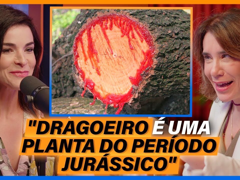 Ácido Hialurônico & Sangue de Dragão - Patrícia Elias